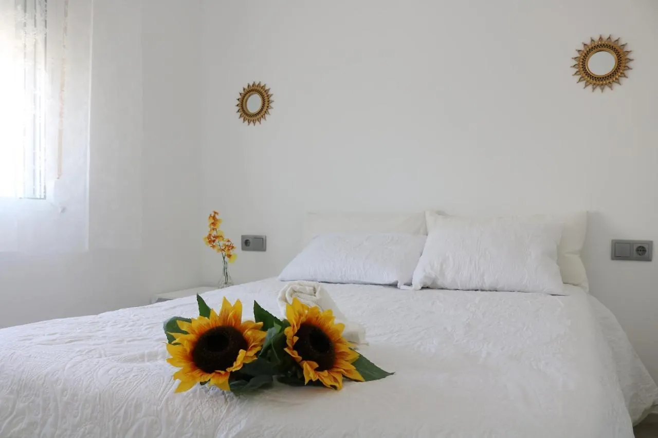 Duplex Avenida Apartment Tarifa Spain