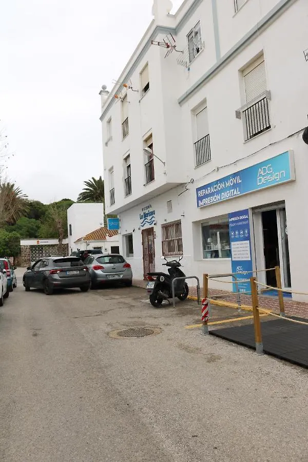 Duplex Avenida Apartment Tarifa 0*,  Spain