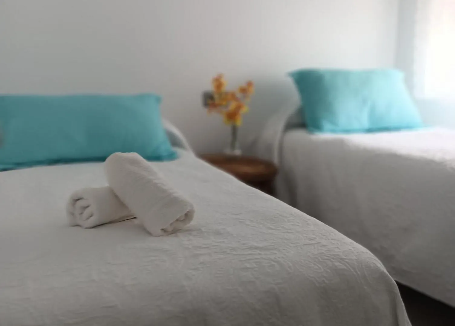 Duplex Avenida Apartment Tarifa Spain